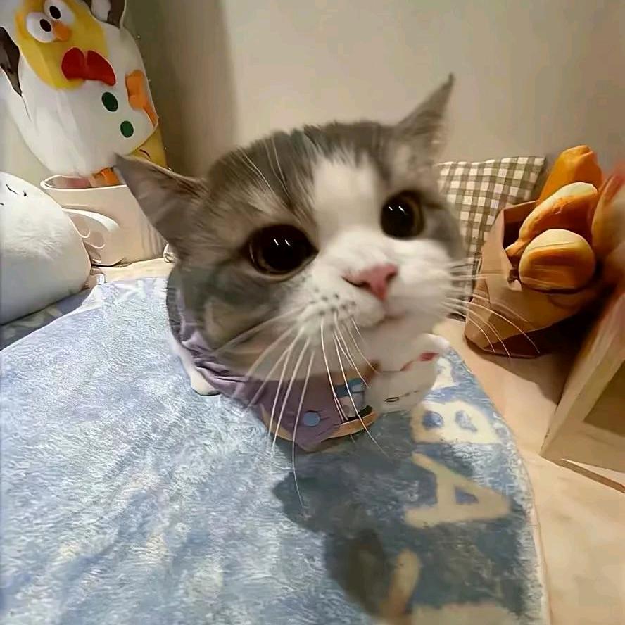 魔丸降世🌝᭄