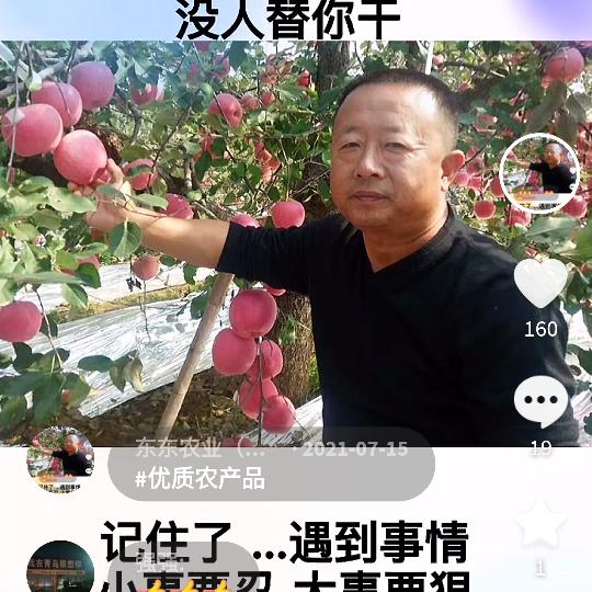 东东农业，