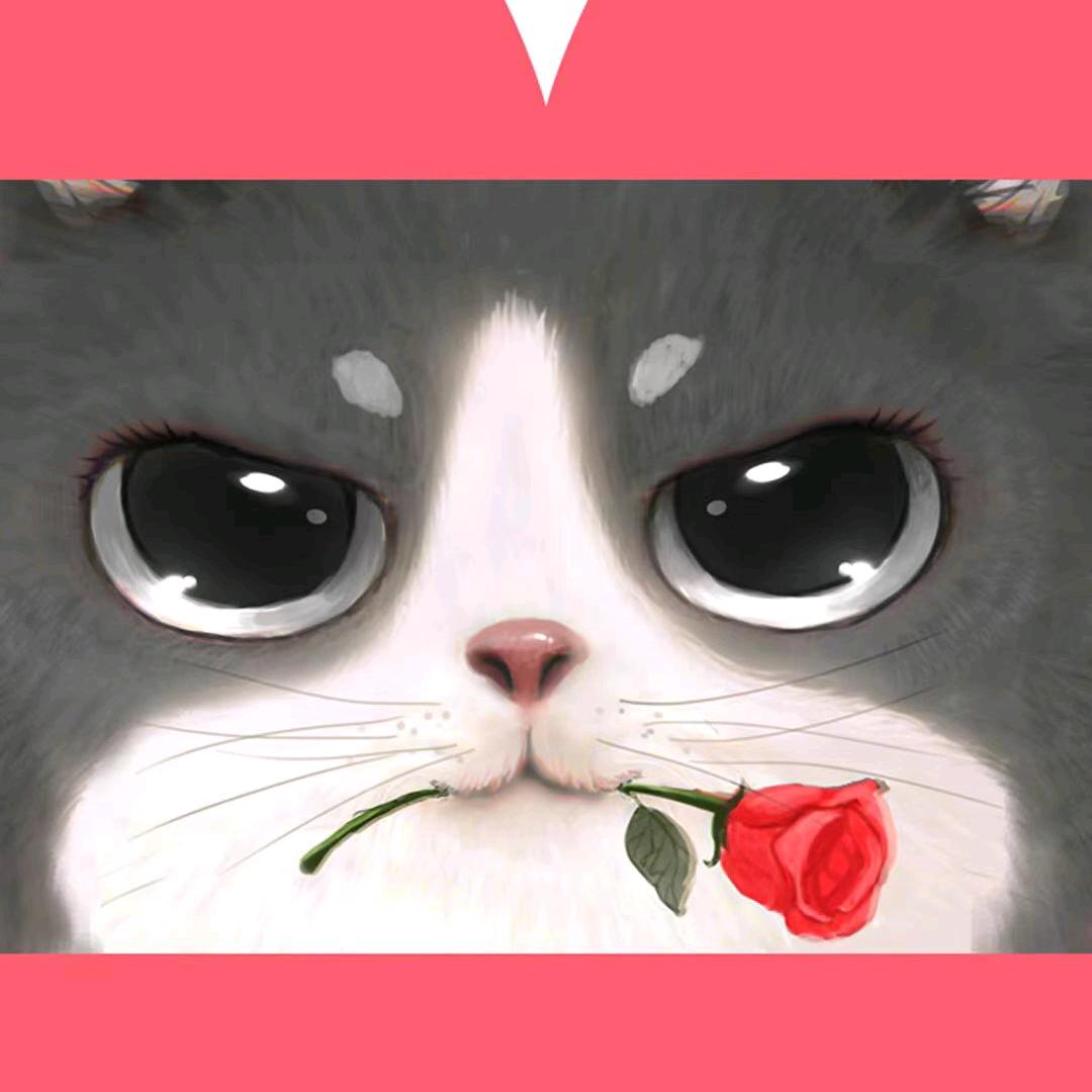 汇涞冷鲜冻品批发