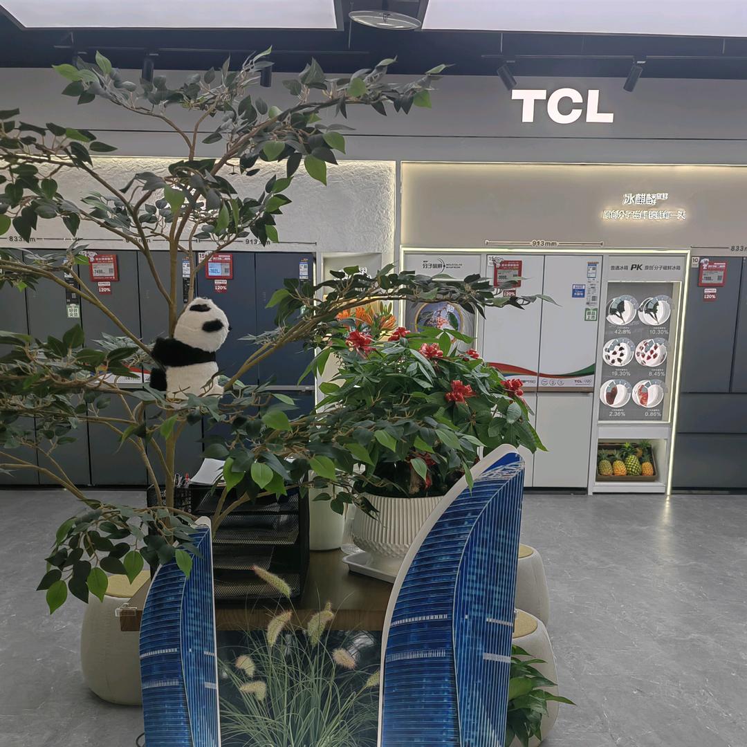 TCL冰洗厦门超体推荐官