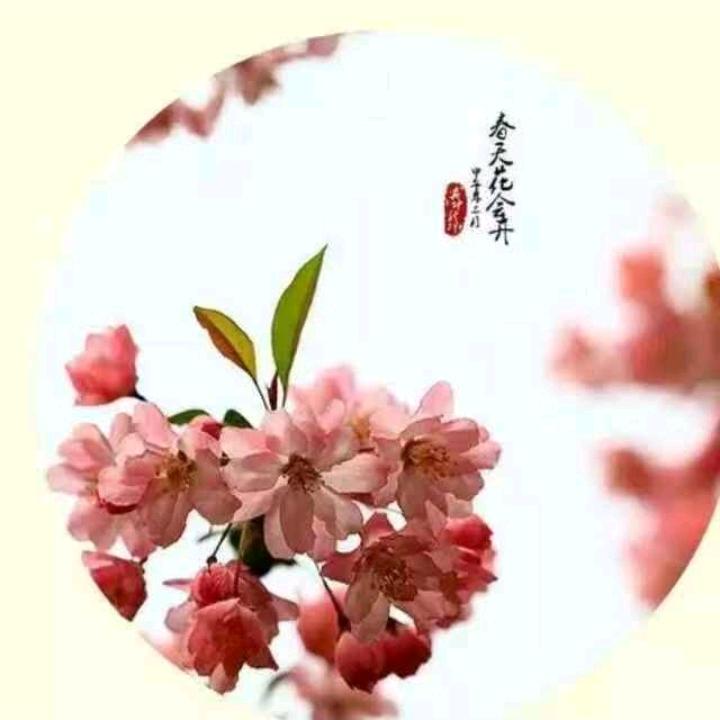 今世有缘