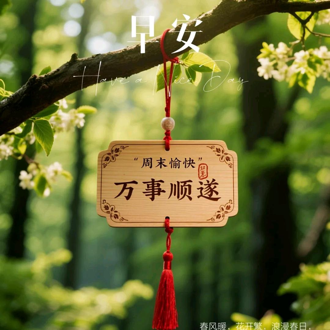 晨曦微露🌞⁷²⁹