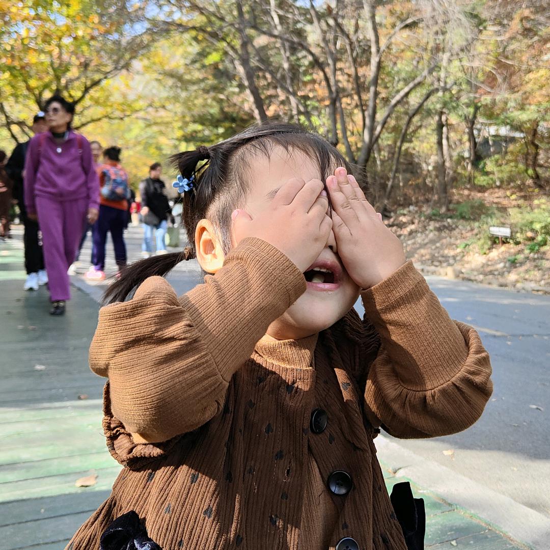 是檬檬吖