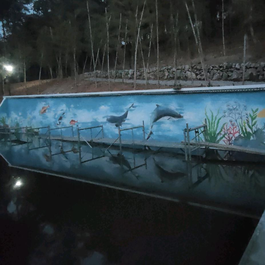 里面长的很多很多的莲藕