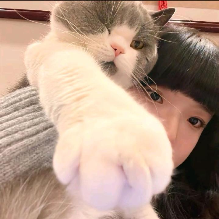 南南