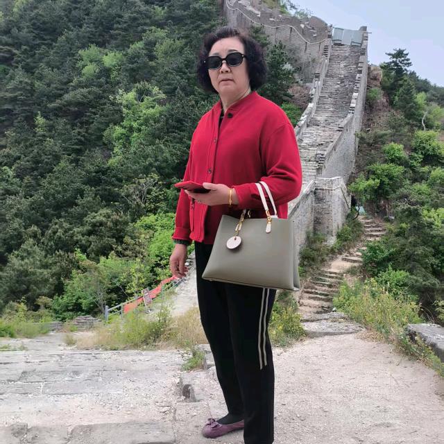 刘凤云
