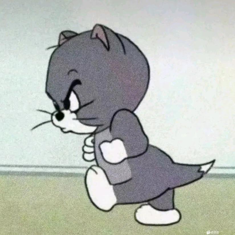 小鱼西奥鱼