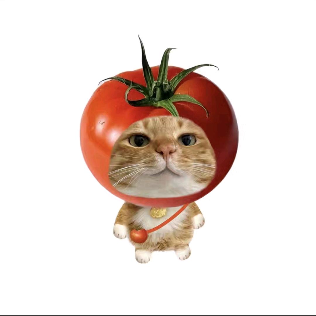 熬夜大王 ´◡`