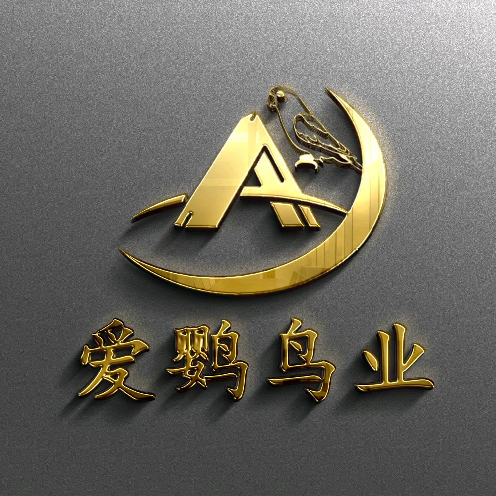 内蒙古爱鹦鸟业1