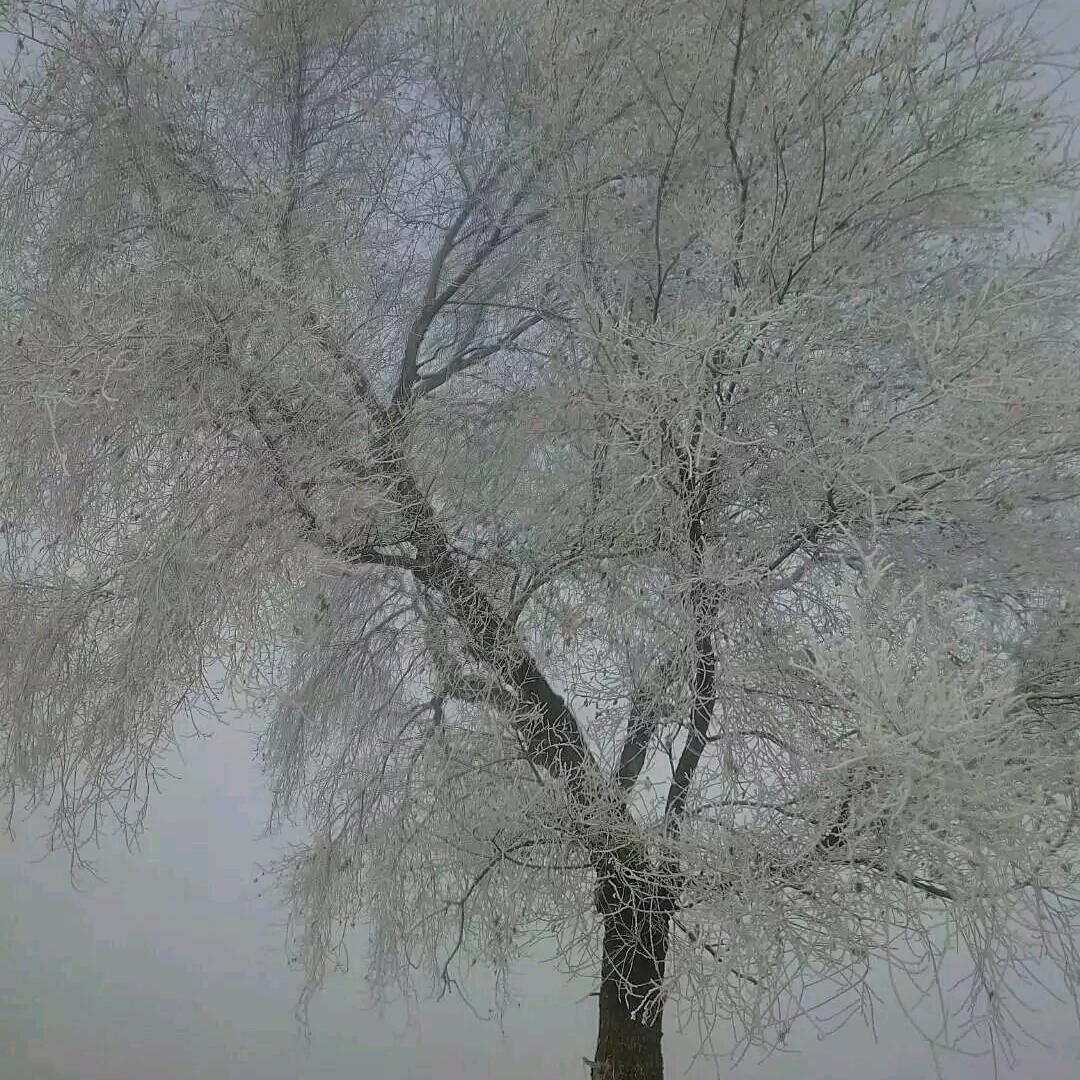 本是红尘不归客