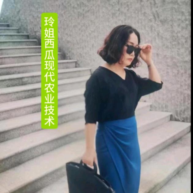 玲姐西瓜现代农业技术