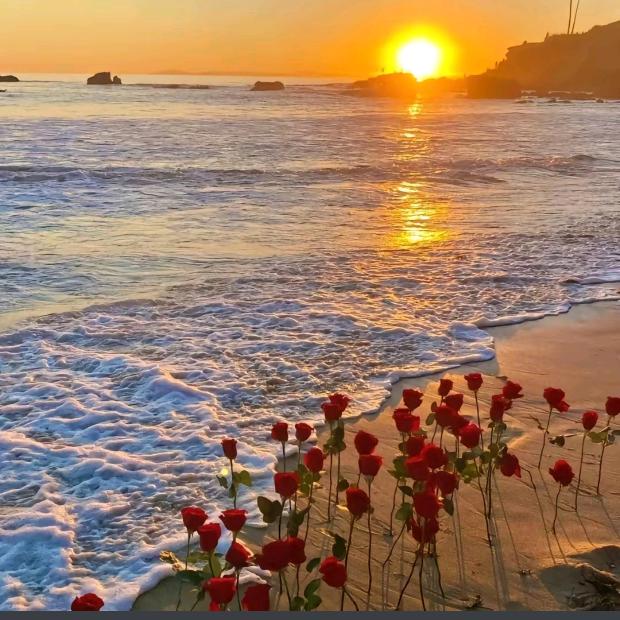 ∧,＿,∧　好运加满🌟（