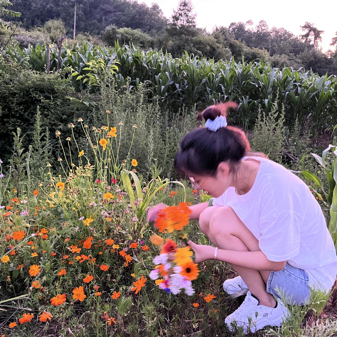 我和大卷心菜