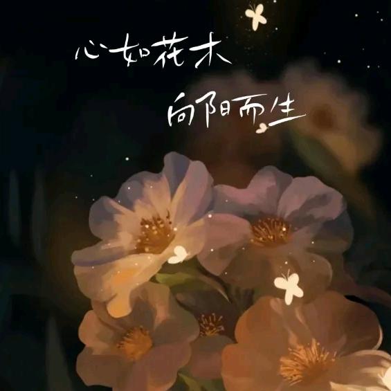 巨小蟹🦀