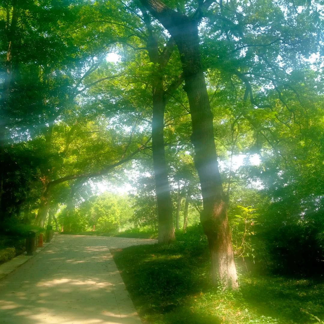 分享