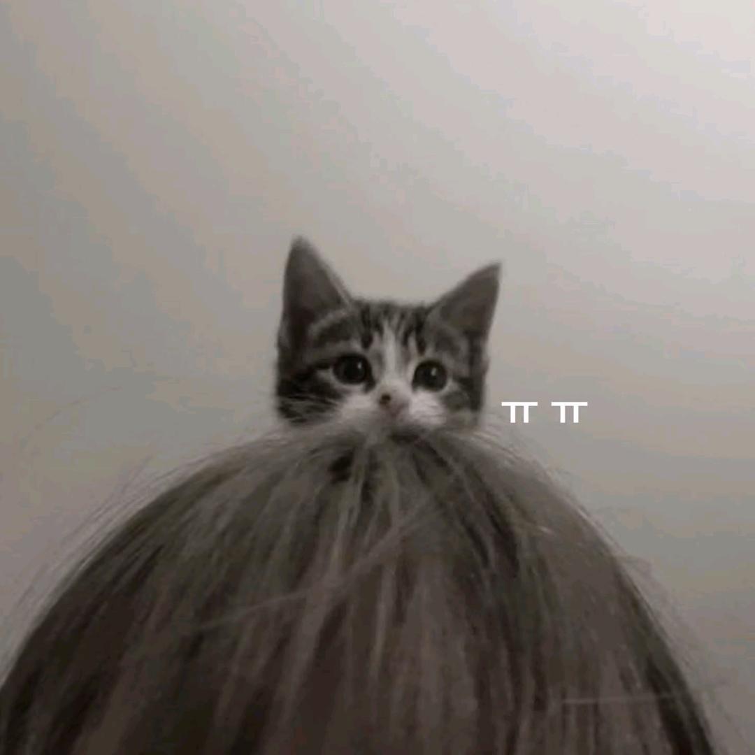 人生若只如初见