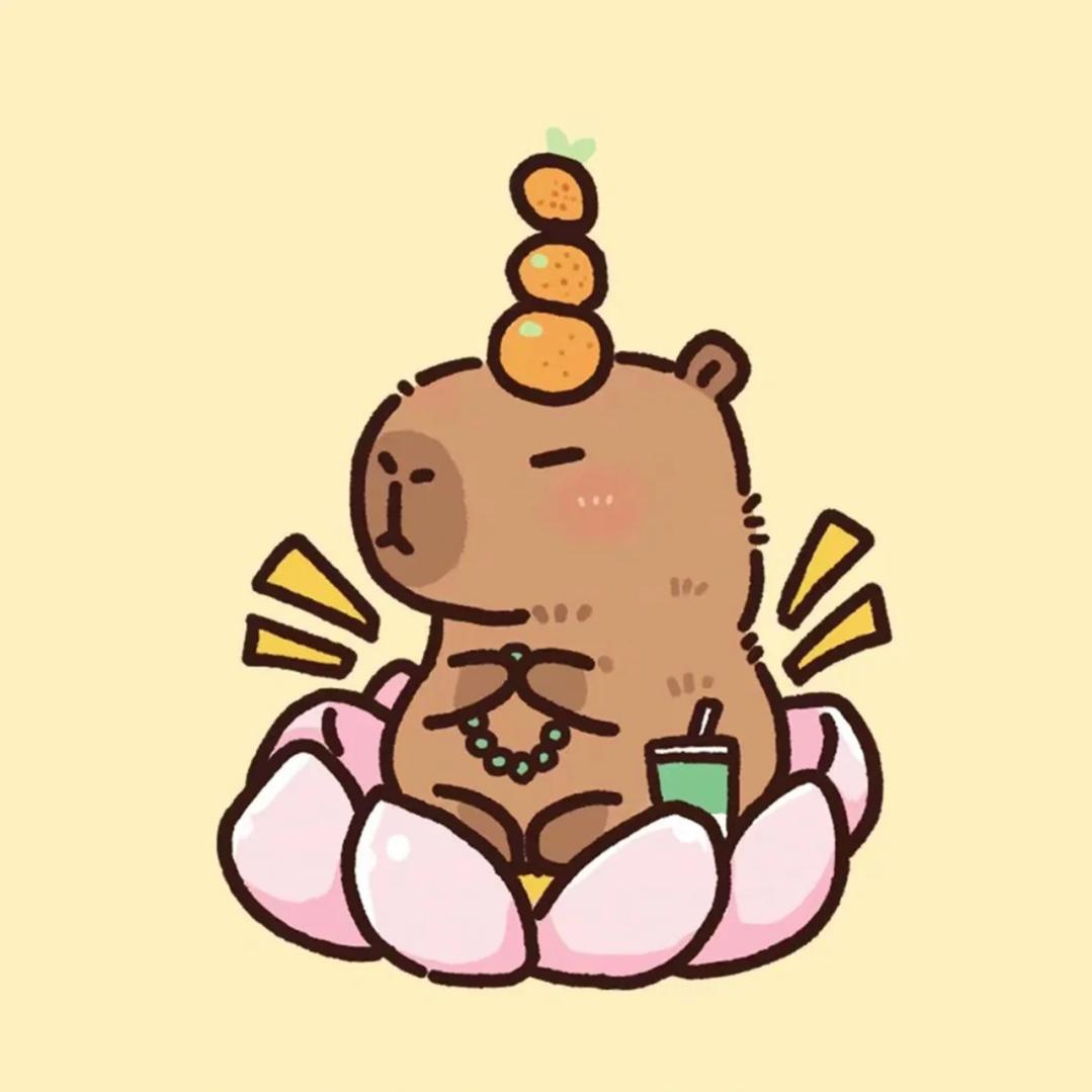 ৡઈৡ卡皮巴拉ઈৡ༊