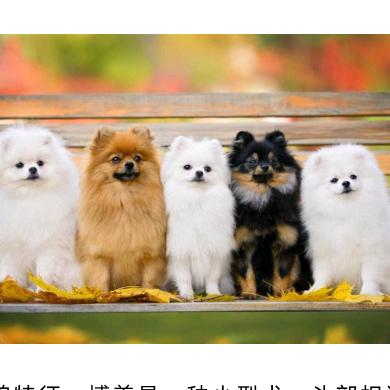 One two three four f