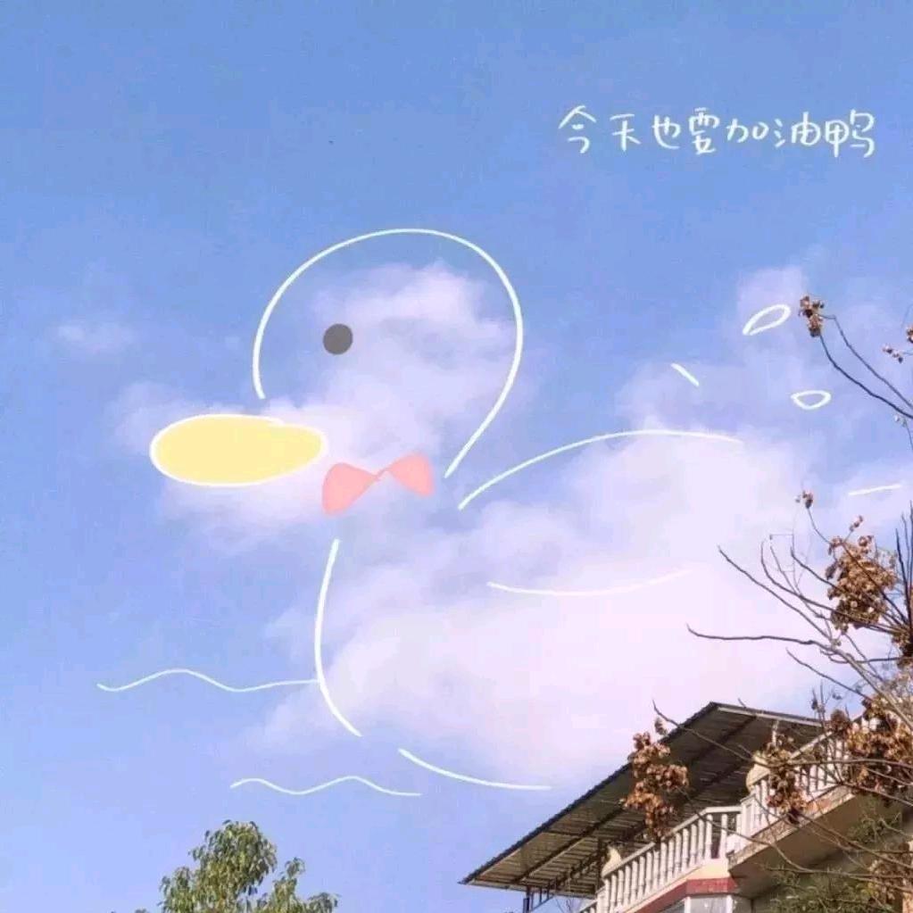 穷兔喜
