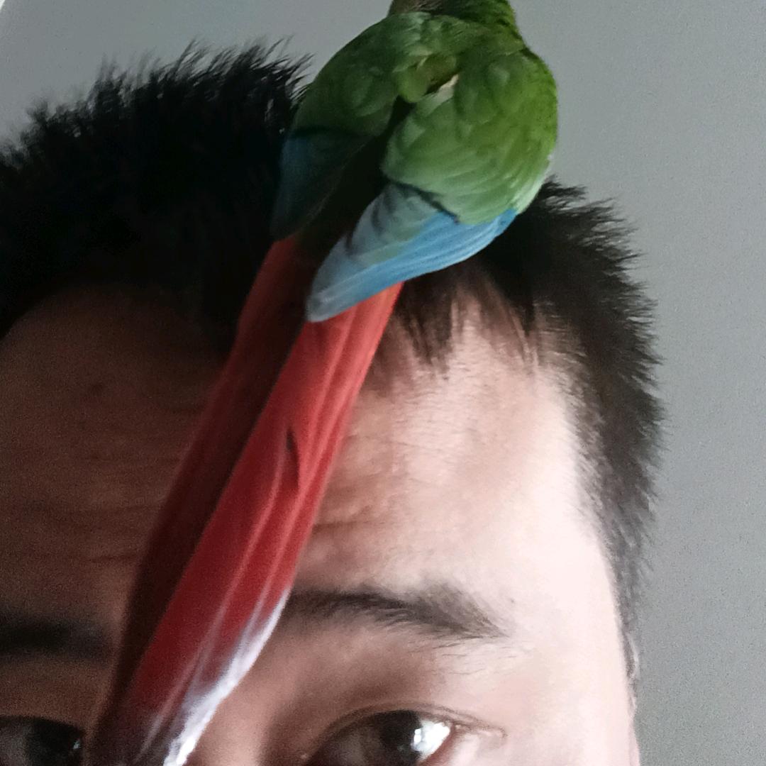 秋的麻袋