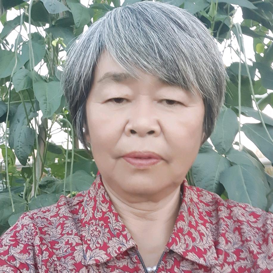 小羽奶奶（每天不定时直播)