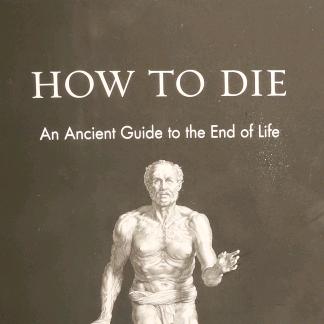 叶黄素型蒸汽眼罩