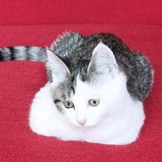 红桦电子商务店