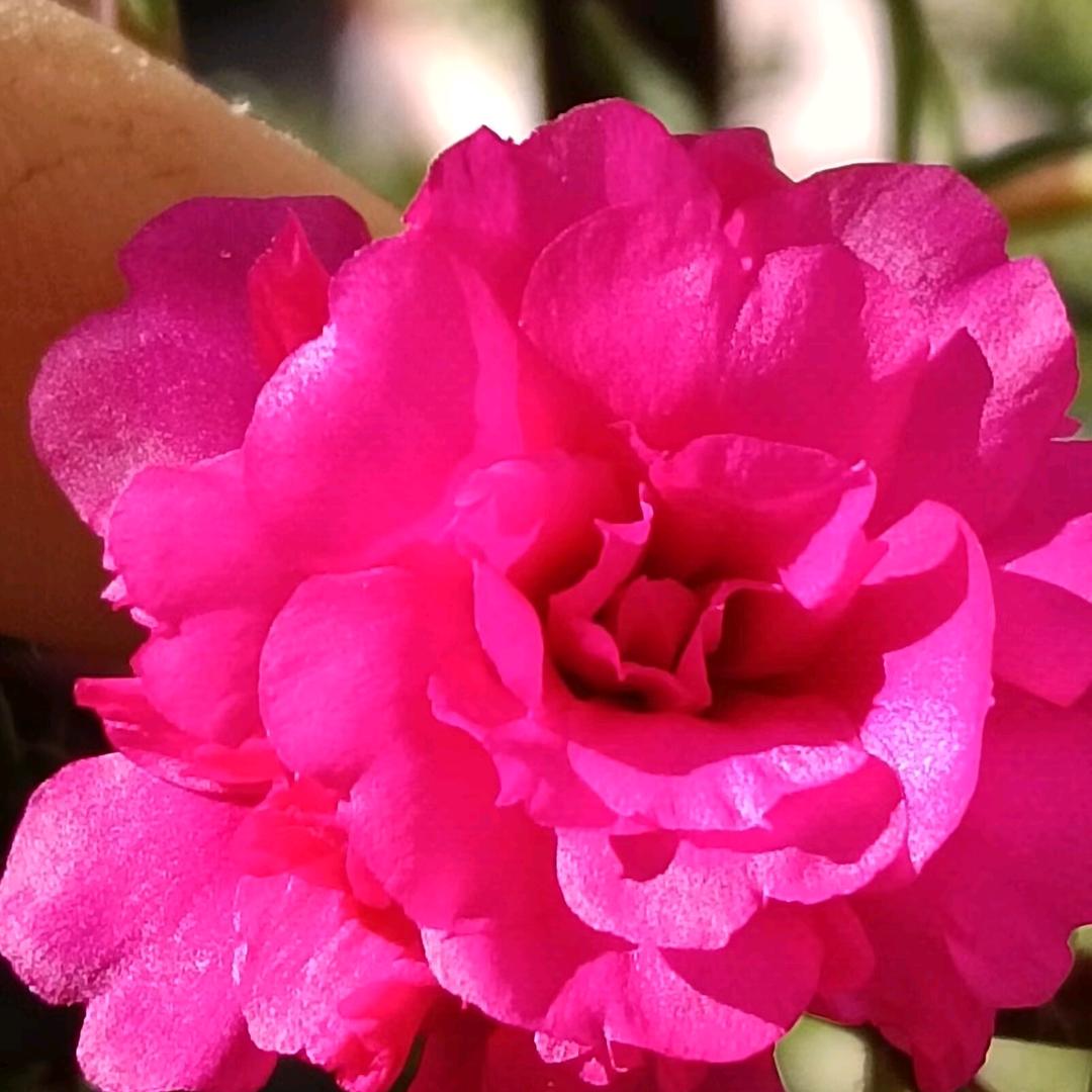 এ᭄小玩子080401