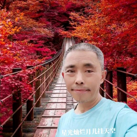 天天好运来