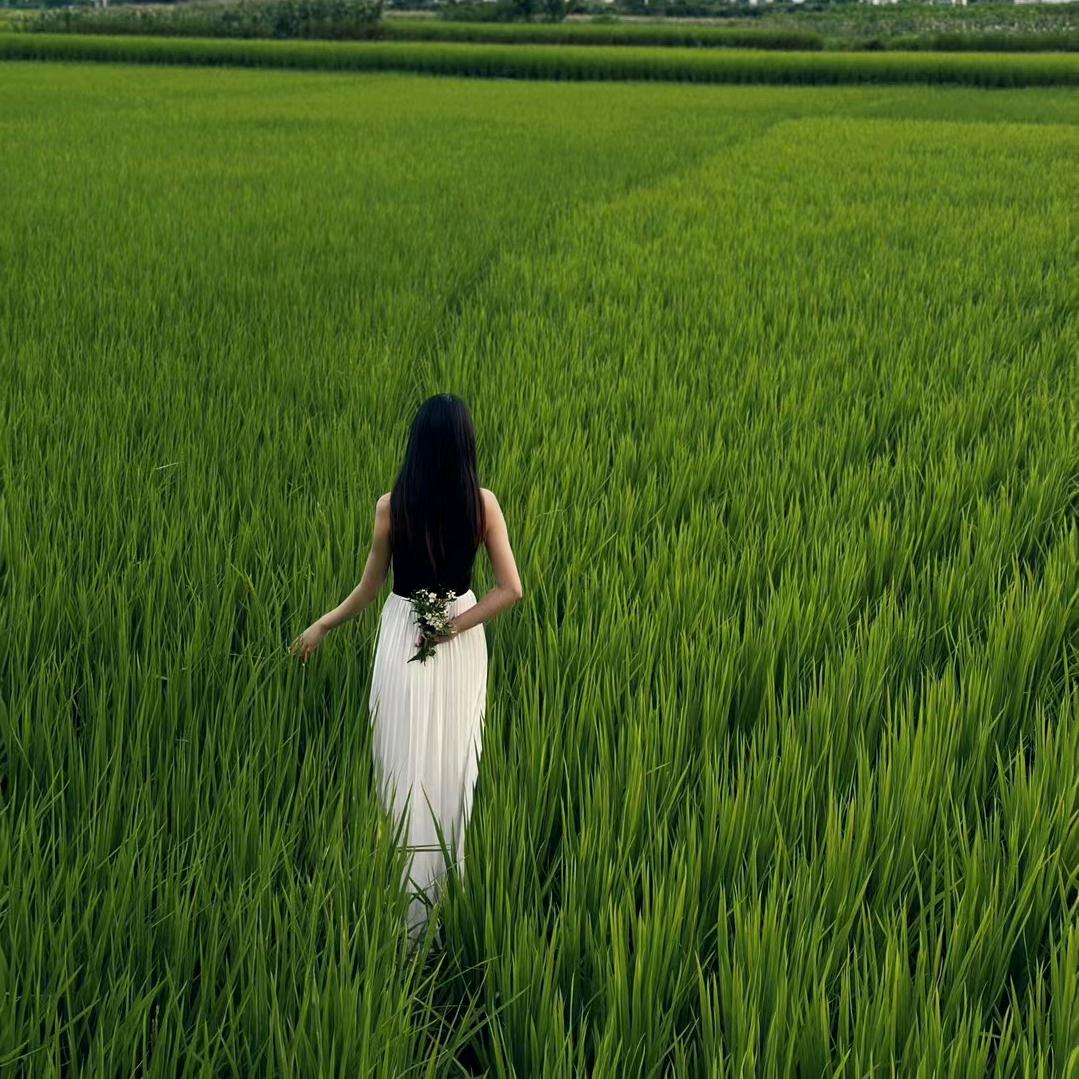 楠栀
