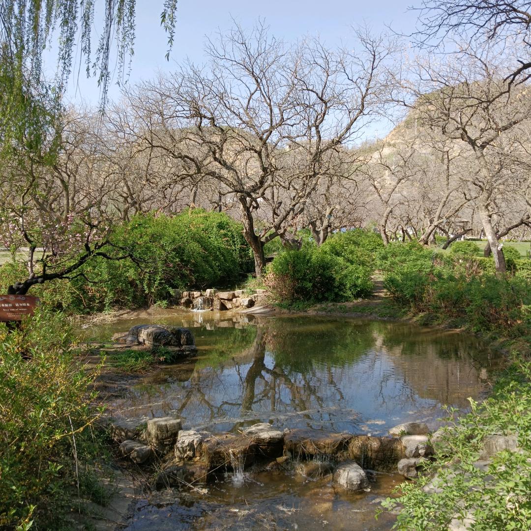 谢谢