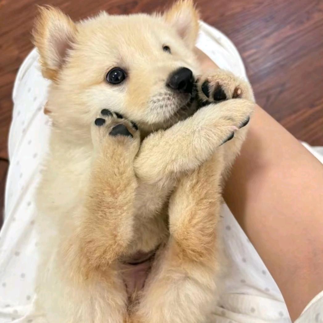 www.