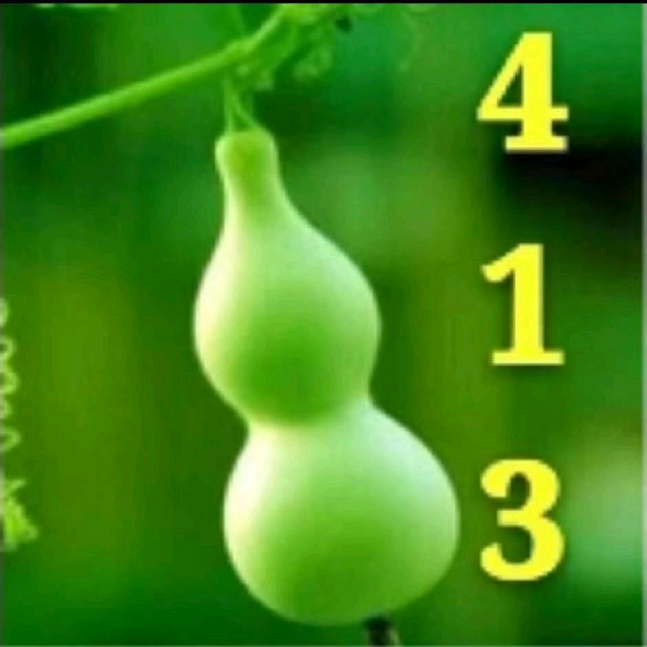 平凡的心
