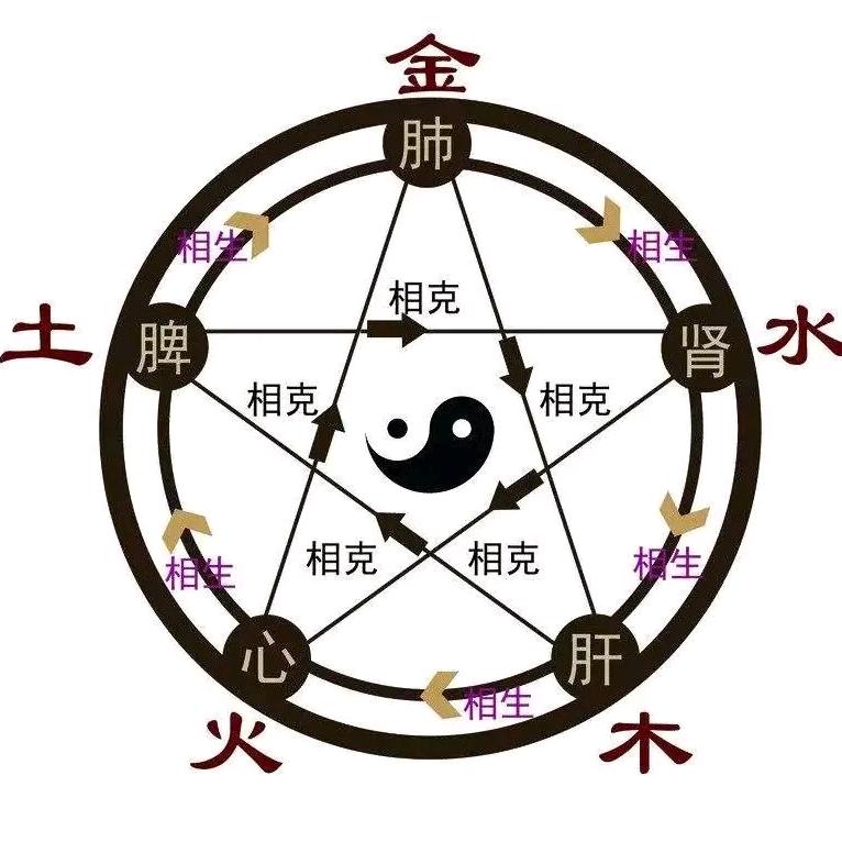 九龙弟子鹤影