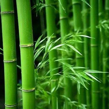 🇨🇳杨杨得亿🇨🇳