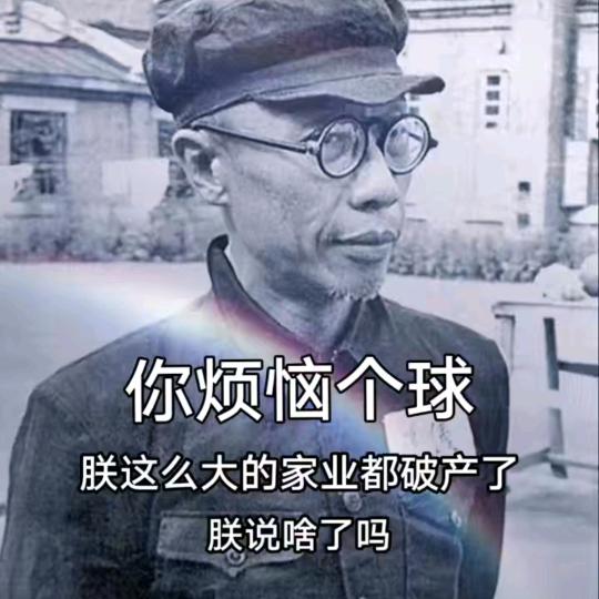 老K观赏鸽524628729