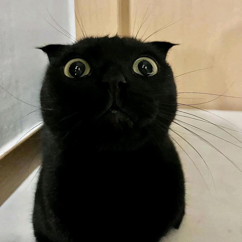 花生