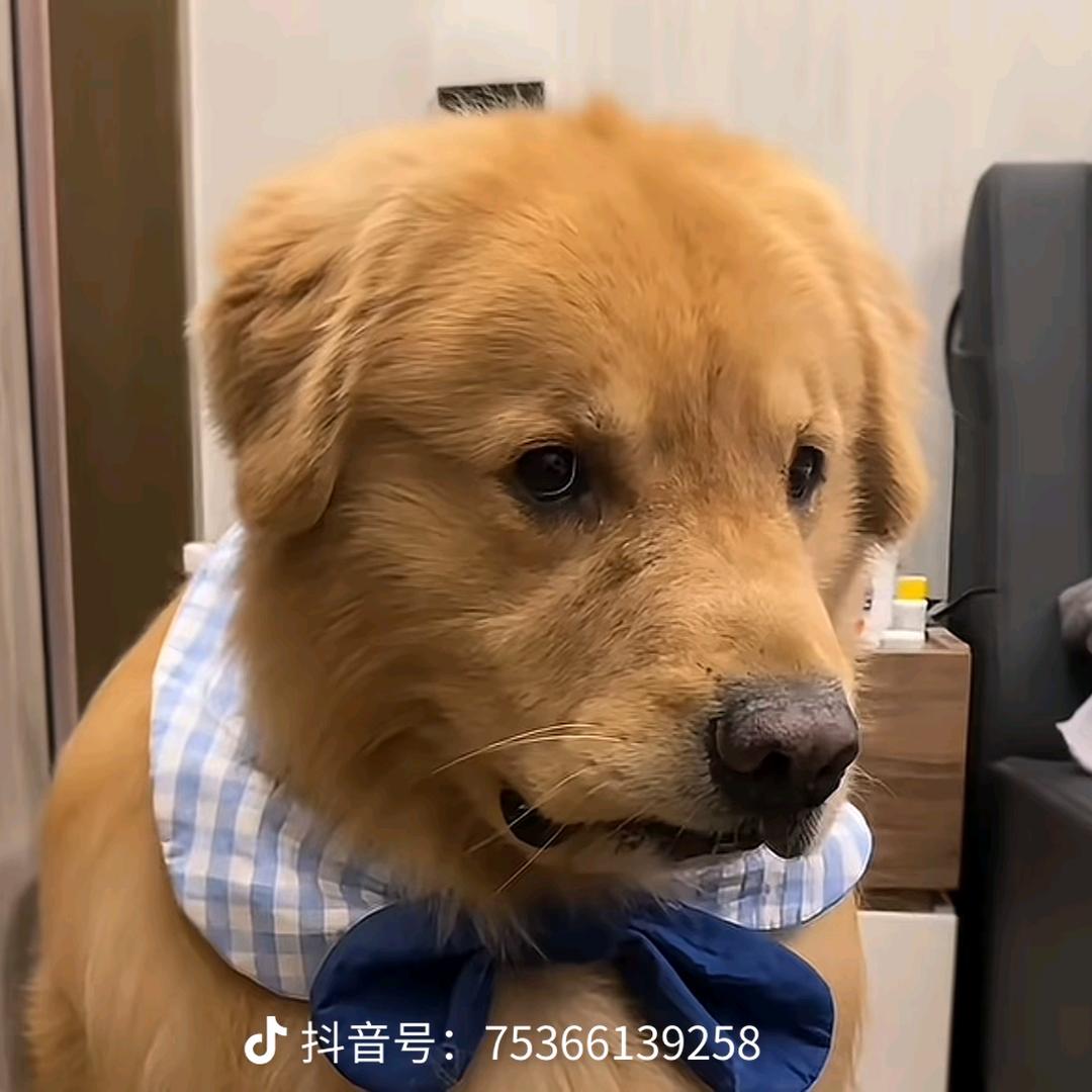 刘铁柱
