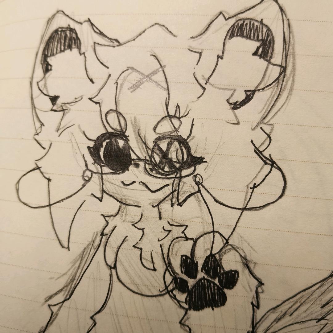 是璃月呀（ly）