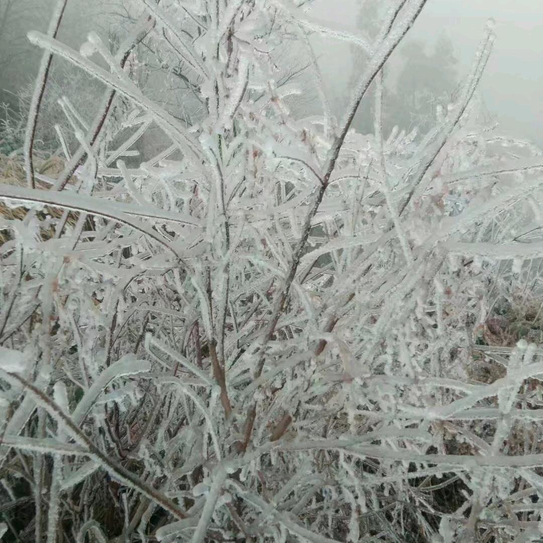 一开始就爱