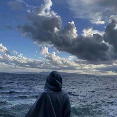 🌴半头砖🧱🌿