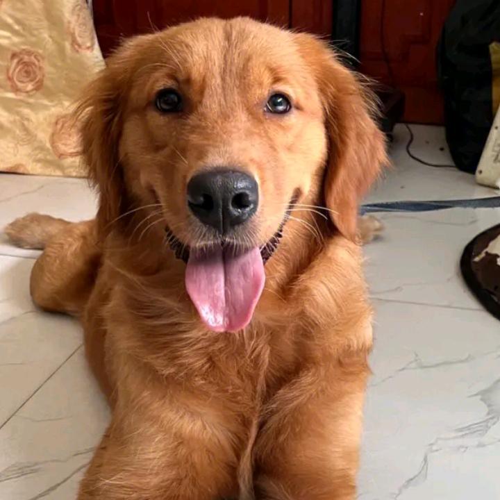 💞᭄💫只爱老婆一人🍾💫꧔ꦿ᭄💞