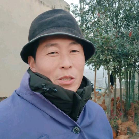 王老二散养鸡