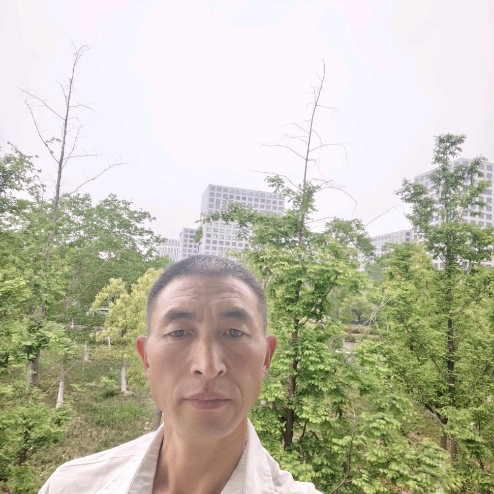 蔡元辉