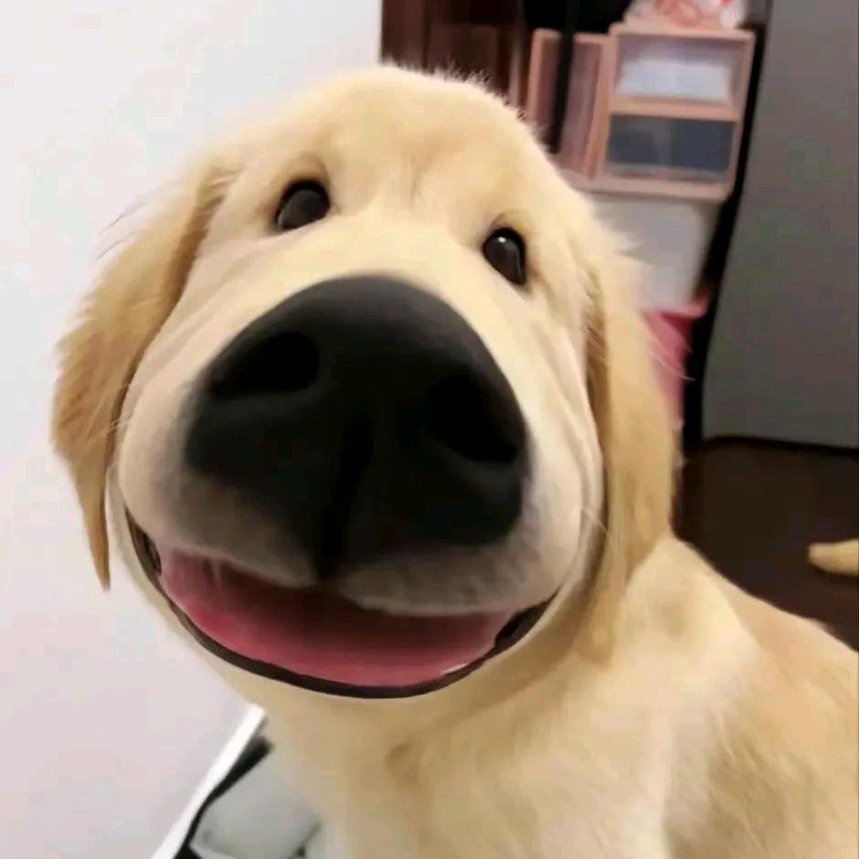 在么