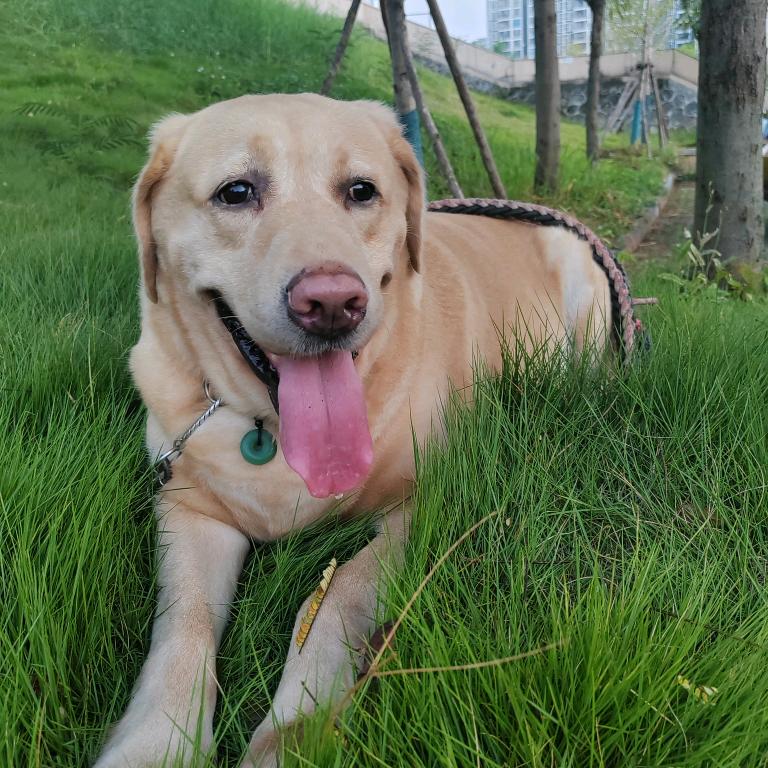 我的闺女🐶皮蛋公主