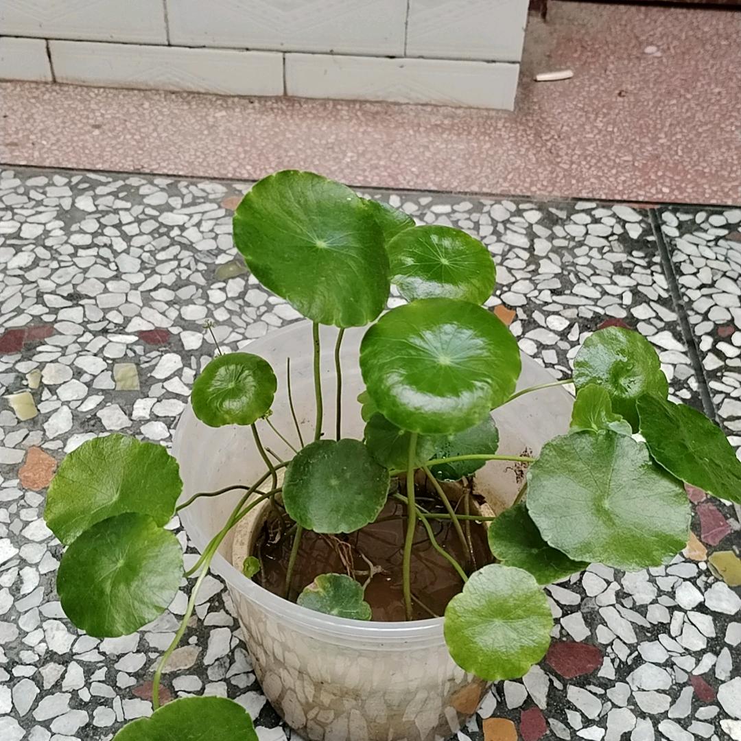 倾诉