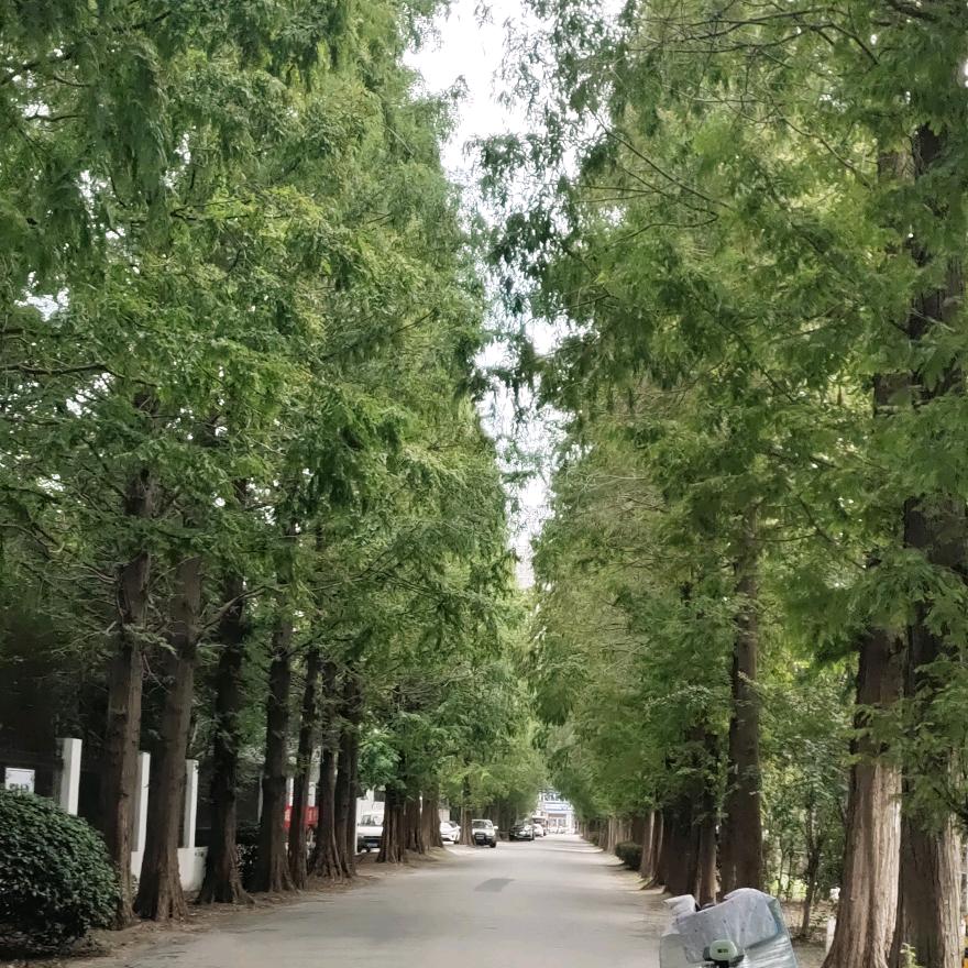 日薪月亿