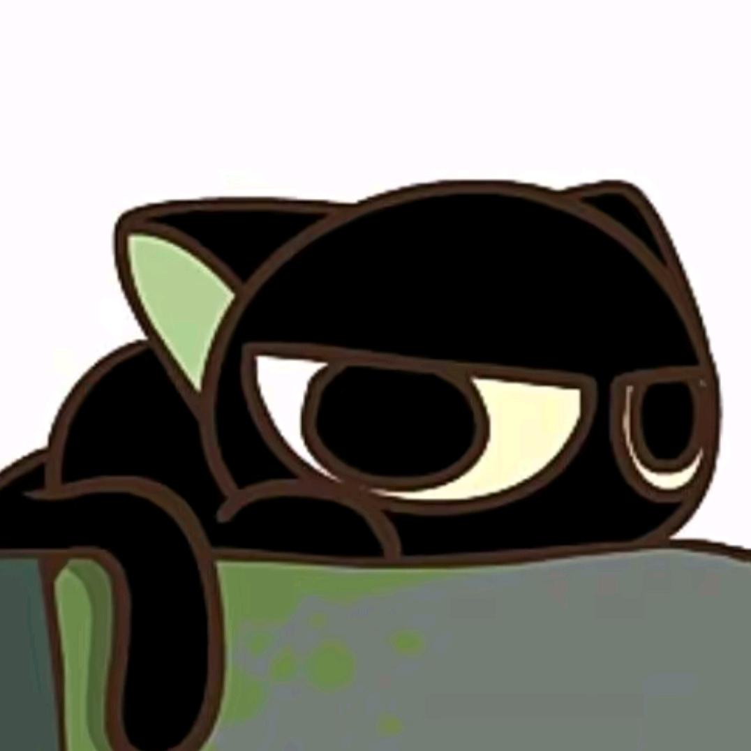 夜猫怎么会睡觉