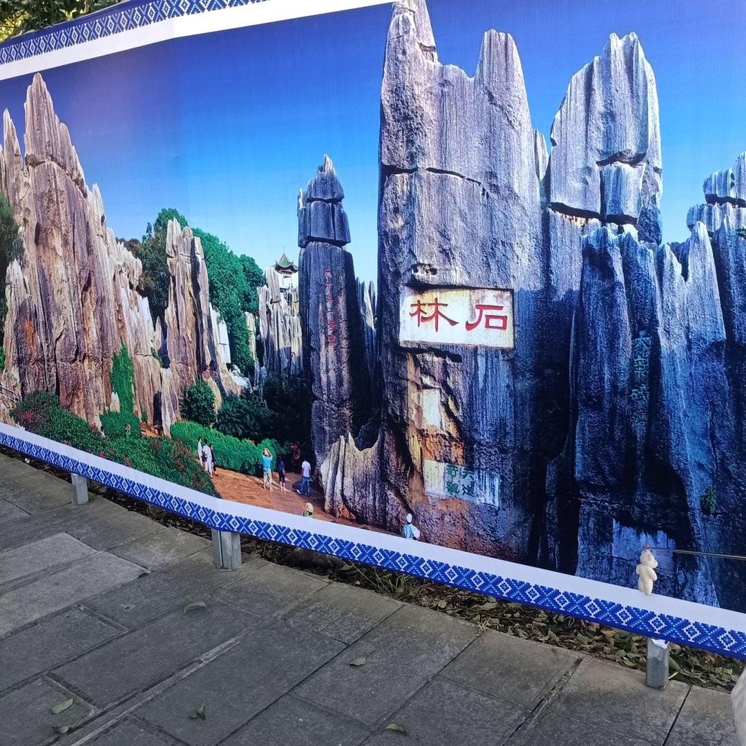 沙漠雄鹰
